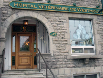 Hôpital Vétérinaire Westmount