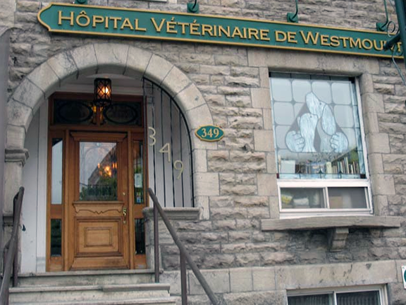 hopital_vet_westmount