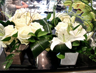 Petula Fleurs et Décors