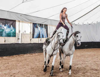 Gallery: Odysseo behind the scenes