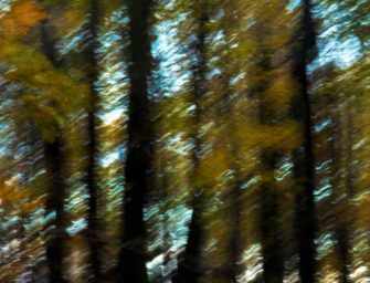 Galerie photo : automne <br>par Joe Donohue