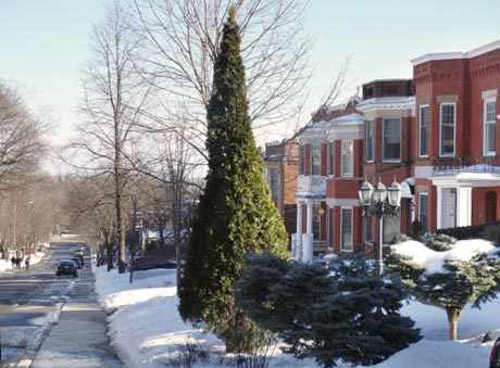 Strathcona street westmount westmountmag.ca