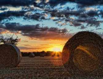 Life Is A Harvest