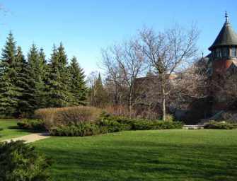 Westmount Park trees: <br loading=