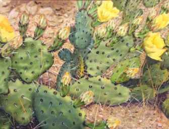 Cactus flower paintings <br>art exhibition