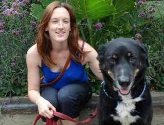 Westmount Dogs <br>and Their Owners