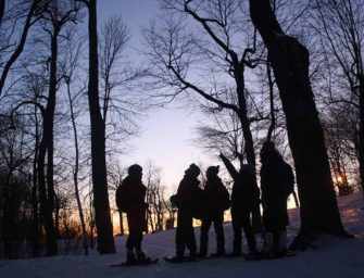 Winter pleasures close to home