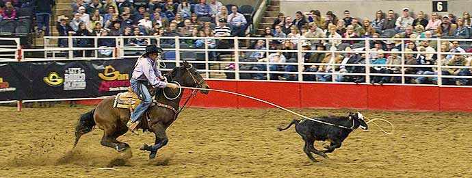 rodeo WestmountMag.ca