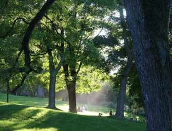 Mount Royal, <br>a mountain of summer fun