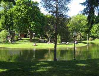 Picnics, portents and <br>poetry in the park /1