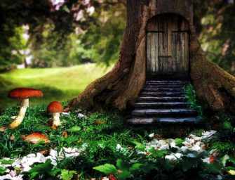 Secret Places <br>Hidden Treasures / 1