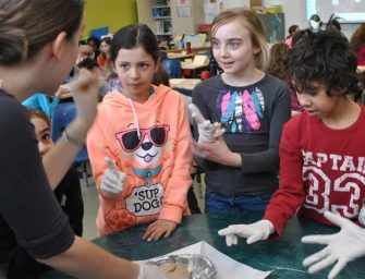 Discovering the human brain <br>with BrainReach
