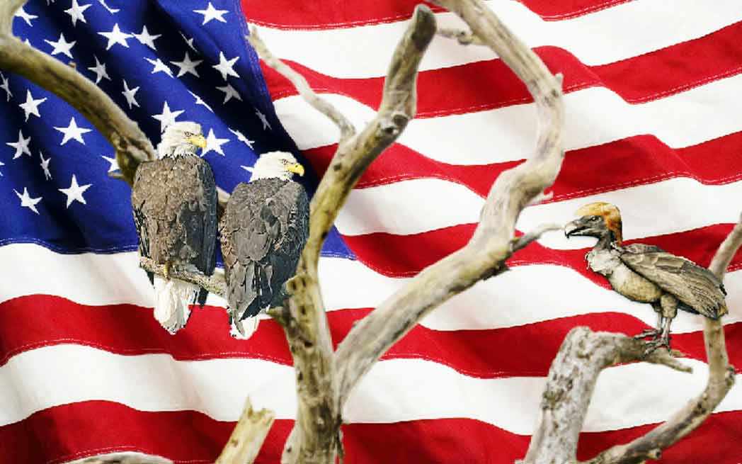 flag_westmountmag