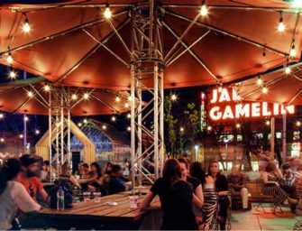 Late summer and early fall <br>in les Jardins Gamelin