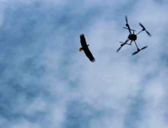 Dr. David M. Bird, <br>from birds to drones