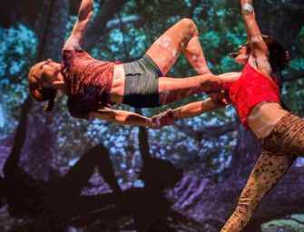 The Goblin Market: <br>circus, theatre and dance
