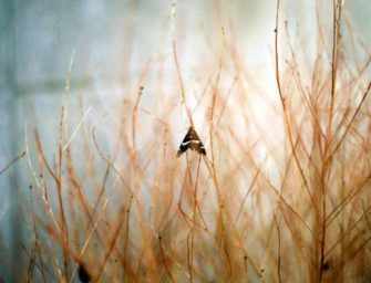 Secret Places <br>Hidden Treasures / 8