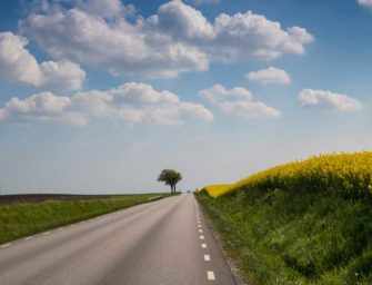 Is optimism the key <br>to professional success?