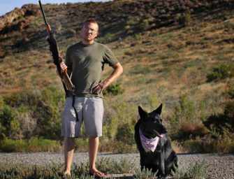 BSL and the aggressive dog issue