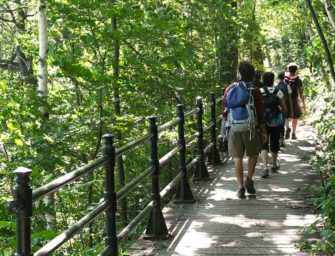 May, Mount Royal month: <br>Explore the mountain!