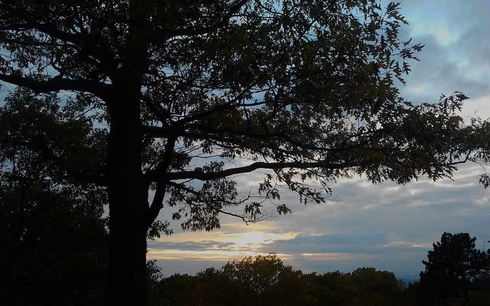 mont-royal_westmountmag
