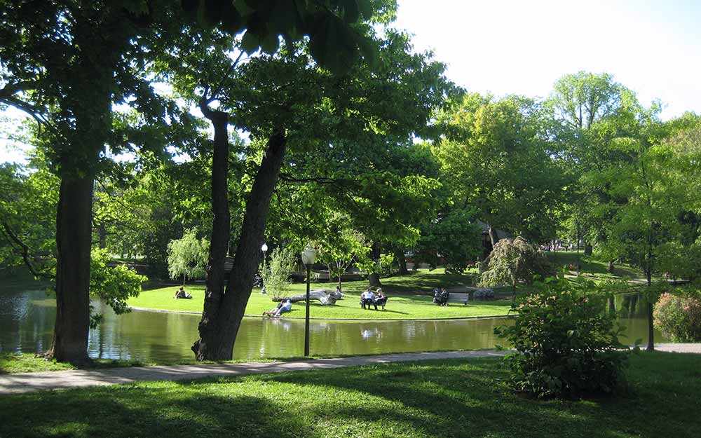 westmount-park_summer_3