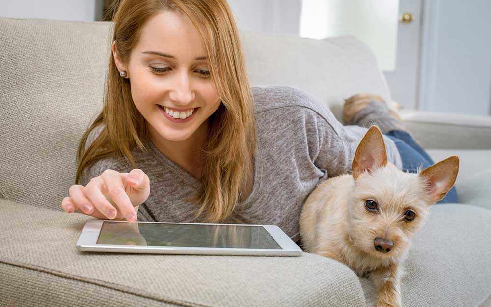 lecture-sur-tablette_westmountmag