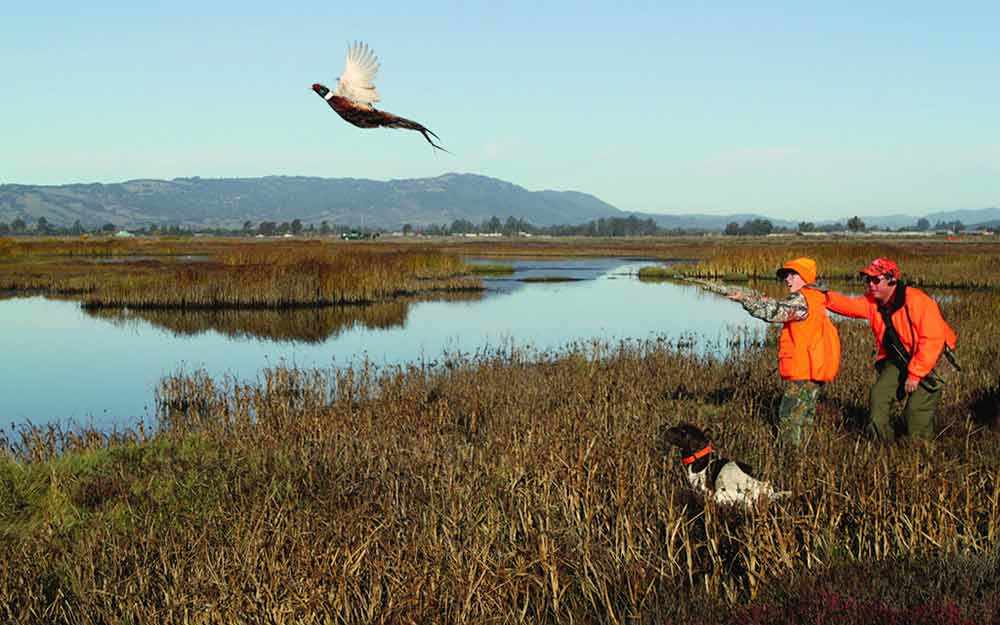 hunting_westmountmag