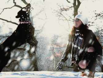 Our Best Friends: <br>cold weather tips