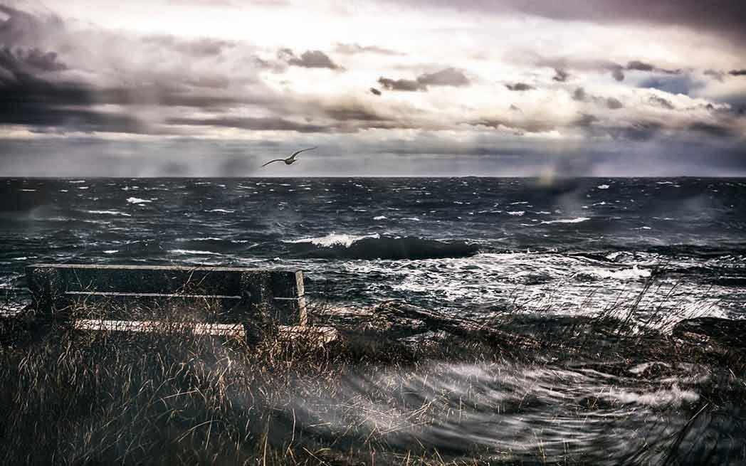 autumn-wind_westmountmag