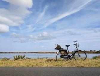 A Place For Prose: <br>Tamara Nazywalskyj /2