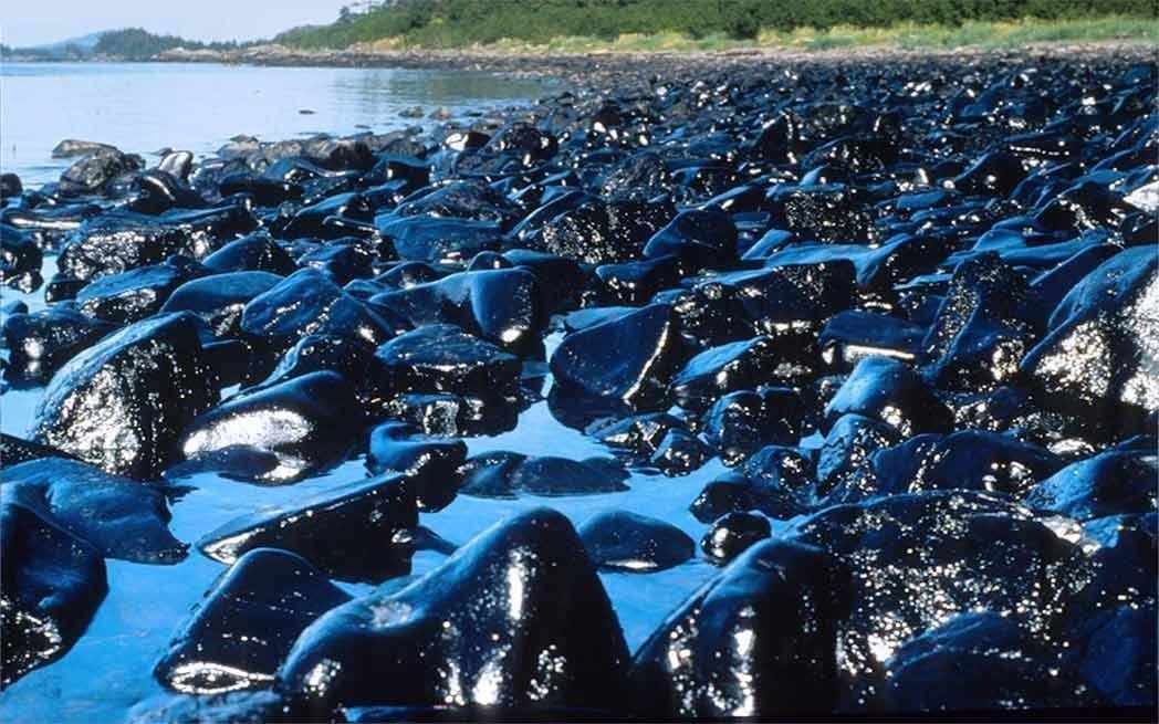 bitumen_westmountmag