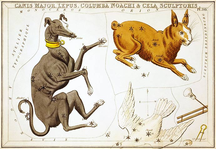 Canis Major 