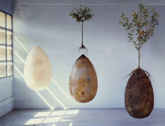 Tree of life: alternatives <br>to traditional burials