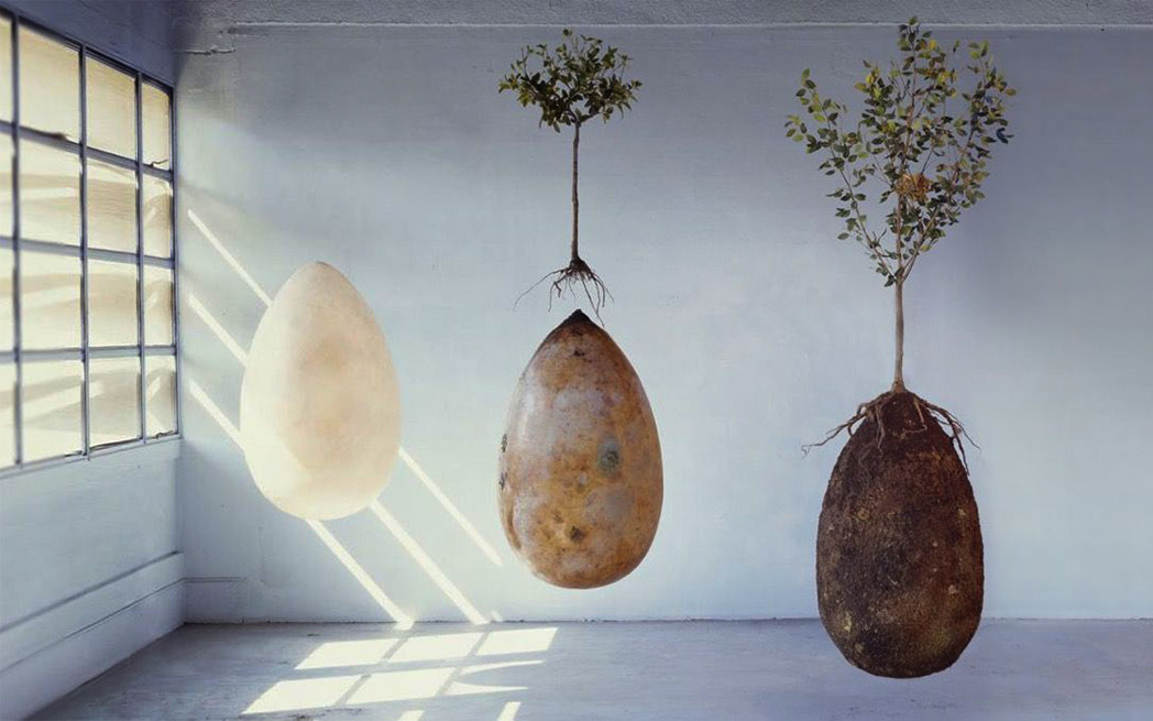 capsula-mundi-1048