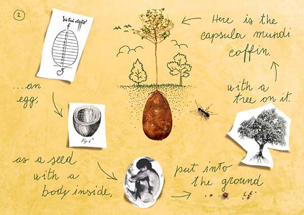 Capsula Mundi concept