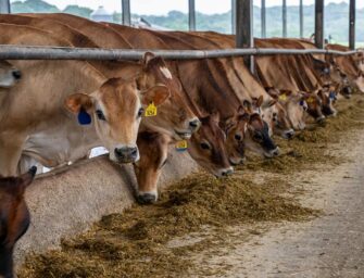 Big agriculture and <br>the new food labelling