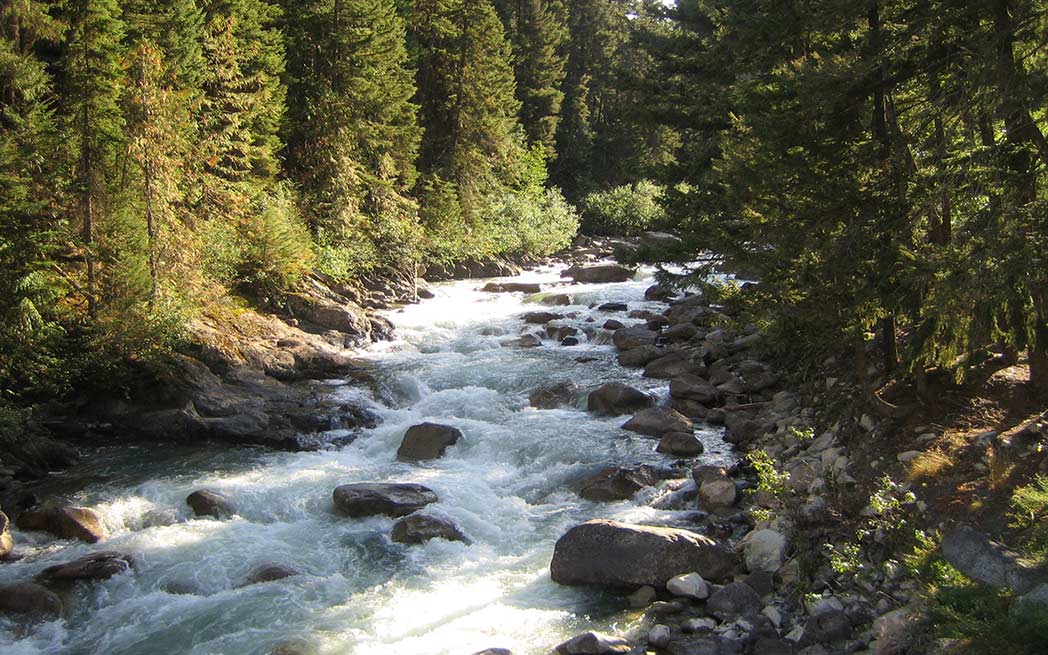 cayoosh-creek-1048