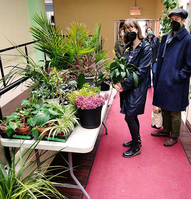 plant re-homing