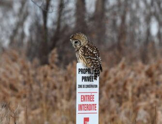 Environmental groups urge <br>protection of green space