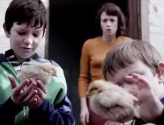 Irish cinema magic <br>for all ages to enjoy