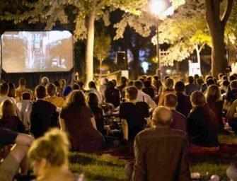 Cinéma sous les étoiles : <br>49 projections gratuites