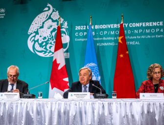 Ecological hypocrisy <br>and point of no return