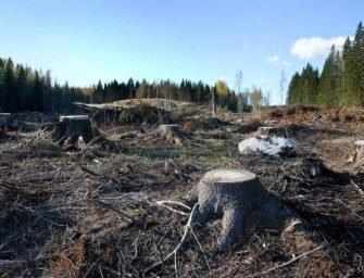 The environment is not for sale