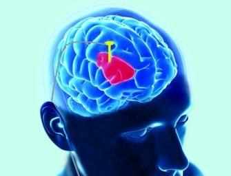 Maladie de Parkinson : <br>une histoire inspirante