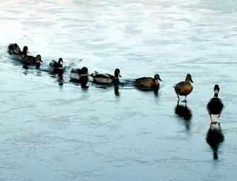 Leading with clarity <br>in uncertain times
