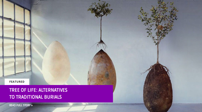 Modern funeral options that respect both the deceased and the environment. By Carmen J. Michaud