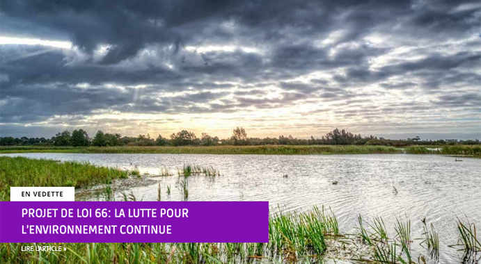 Projet de loi 66