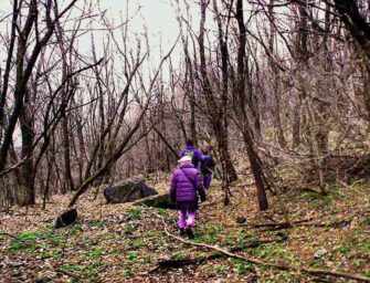 Participate in the Saint-Jacques <br>eco-territory clean-up!