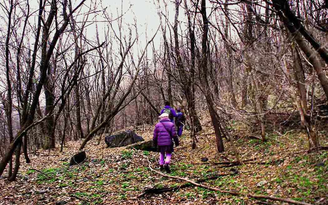 falaise-st-jacques2_feature_westmountmag